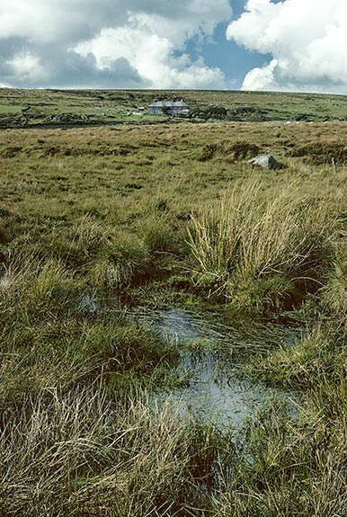 ENG: South West Region, Devon, Dartmoor National Park, Central Dartmoor, Foxtor Mires, Vw north from mire (showing water) to Whiteworks [Ask for #157.035.]