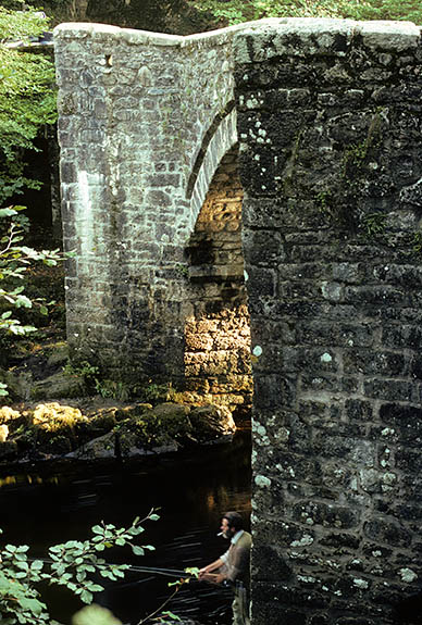 ENG: South West Region, Devon, Dartmoor National Park, Dartmoor's Southern Edge, Holne (village), Holne Bridge,  a 14th C. stone bridge built by tin miners over the River Dart, near Ashburton. [Ask for #157.045.]