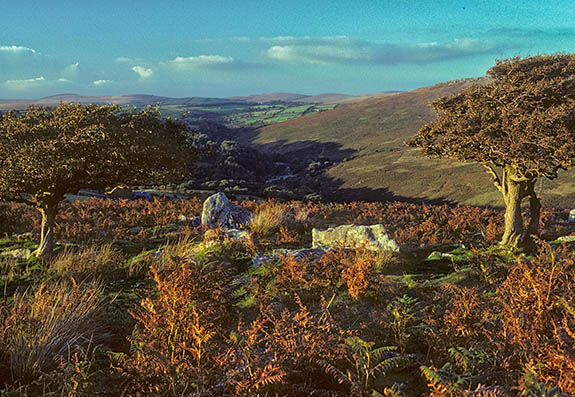 ENG: South West Region, Devon, Dartmoor National Park, Central Dartmoor, Dartmeet, View over open moor towards Improved lands in the River Dart headwaters, from Combestone Tor [Ask for #157.050.]