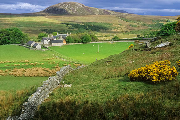 SCO: Highland Region, Sutherland District, Northern Coast, Kyle of Tongue, Ben Loyal (Ben Laoghal), 2509' peak, View over well-kept stone-built farm at base of Ben Loyal, as late afternoon sun breaks through storm clouds [Ask for #246.777.]