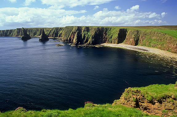 SCO: Highland Region, Caithness District, Northern Coast, John o' Groats, Duncansby Head, Clifftop view towards the Stacks of Duncansby [Ask for #246.791.]