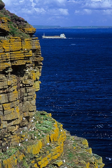 SCO: Highland Region, Caithness District, Northern Coast, John o' Groats, Duncansby Head, View past sea cliffs to freighter in the Pentland Firth [Ask for #246.802.]