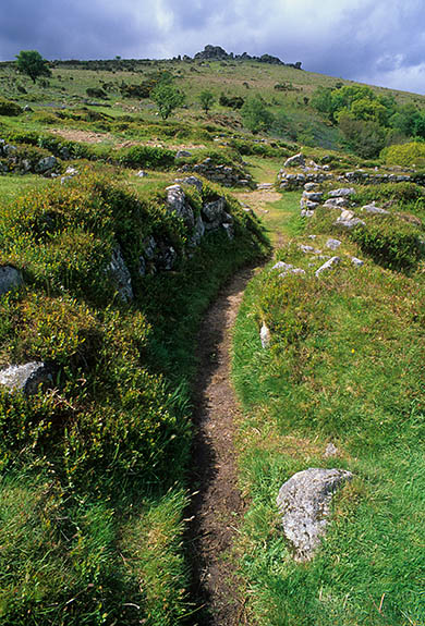 ENG: South West Region, Devon, Dartmoor National Park, Dartmoor's Southern Edge, Hound Tor, Foundations of longhouses make up the ruins of an abandoned medieval village at the foot of the tor [Ask for #268.531.]