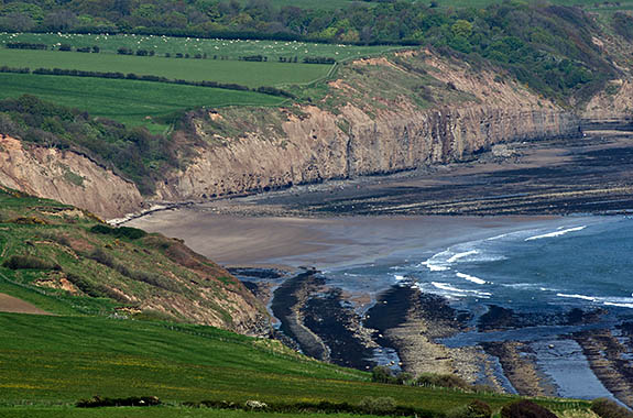 ENG: Yorkshire & Humberside Region, North Yorkshire, North Yorkshire Coast, Sea Cliffs, Ravenscar, The cliffs that surround Robin Hoods Bay [Ask for #270.114.]