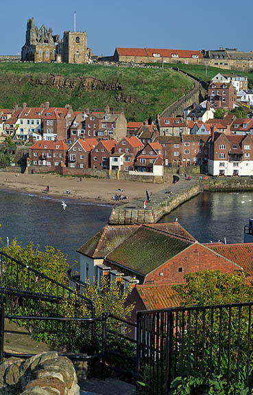 ENG: Yorkshire & Humberside Region, North Yorkshire, North Yorkshire Coast, Whitby, West Cliff, View from cliff-top park, towards the harbor and the abbey, with Abbey Steps running uphill at the center. [Ask for #270.173.]